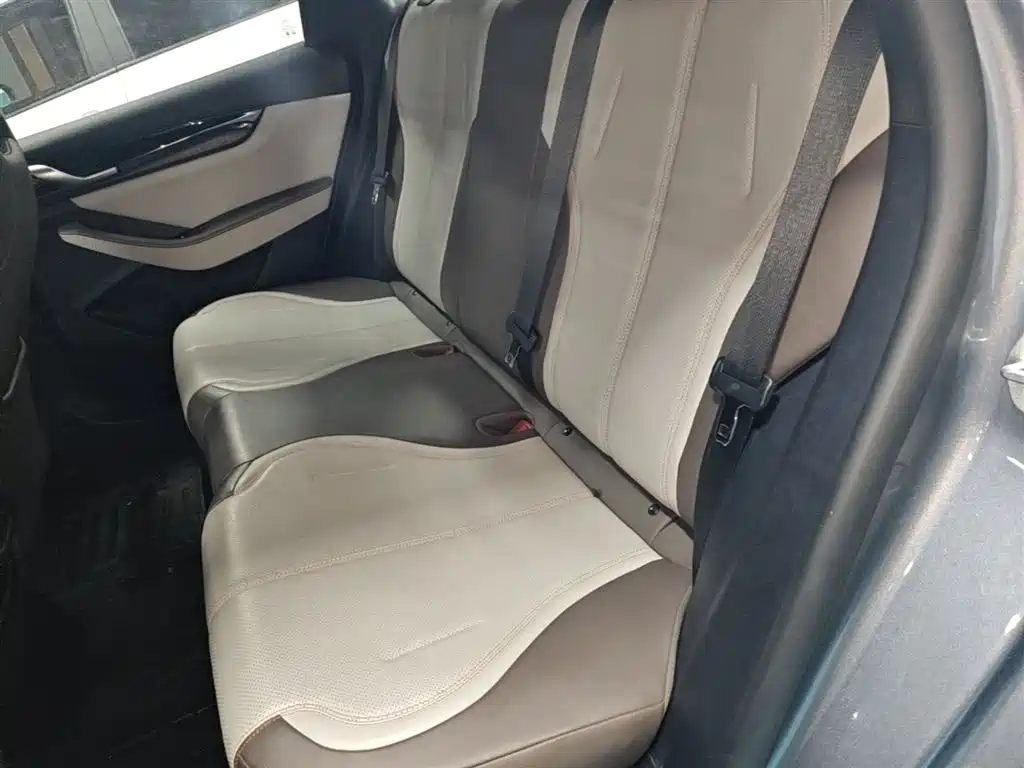 BYD Qin PLUS 2024 Glory Edition DM-i 55KM Leading фото 17