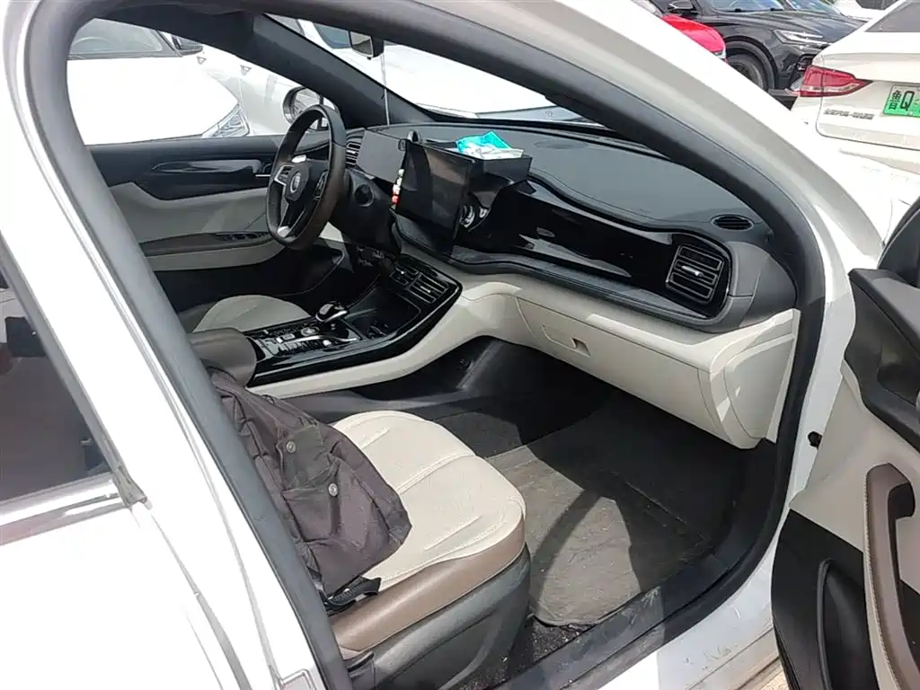 BYD Qin PLUS 2024 Glory Edition DM-i 55KM Leading фото 20