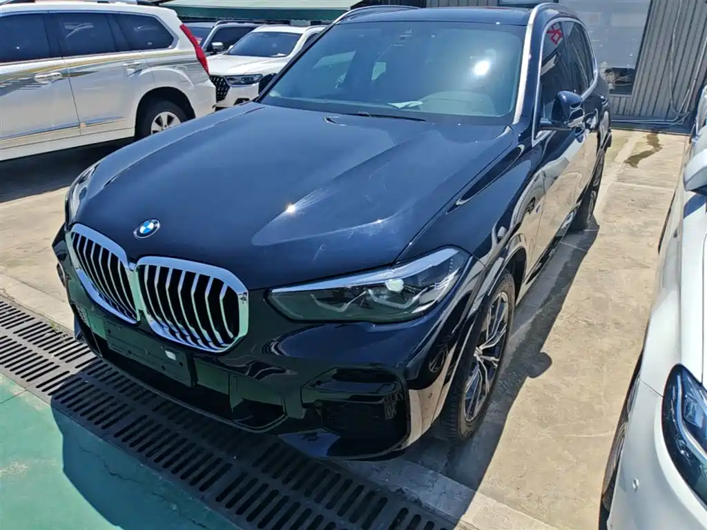 BMW X5 (Import) 2022 xDrive30i M Sport Package