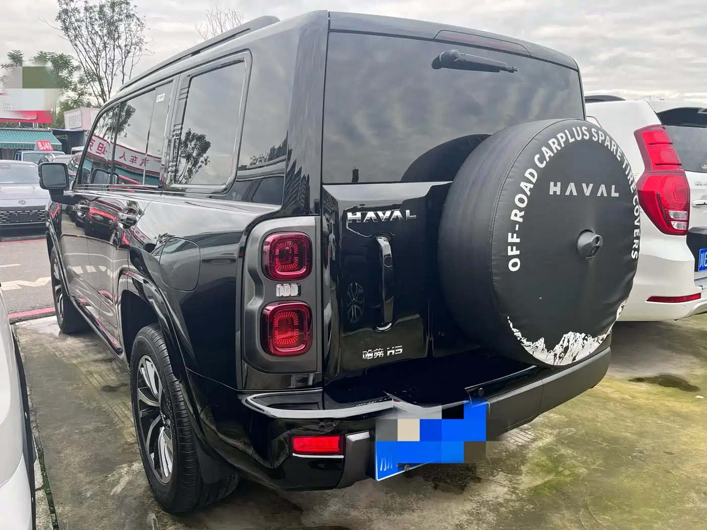 Haval H9 2024 2.0T Gasoline AWD Extreme Edition фото 12