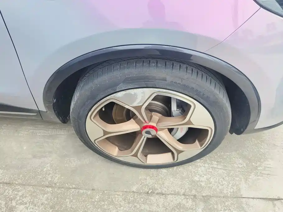 Denza X 2021 2020 Model PHEV Flagship Edition