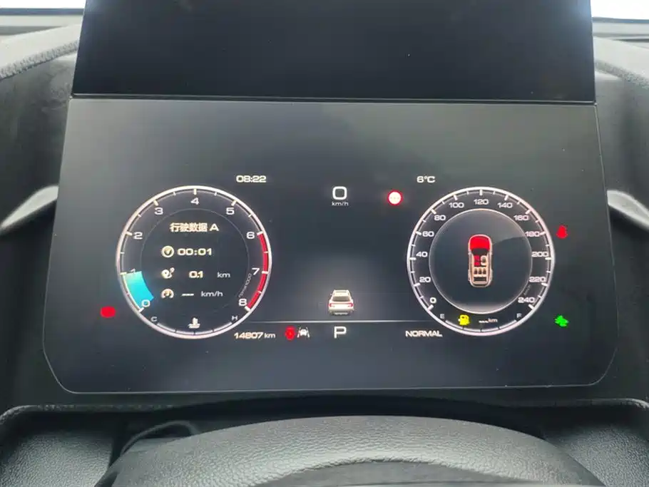 Haval Big Dog 2024 1.5T DCT Border Collie Edition фото 14