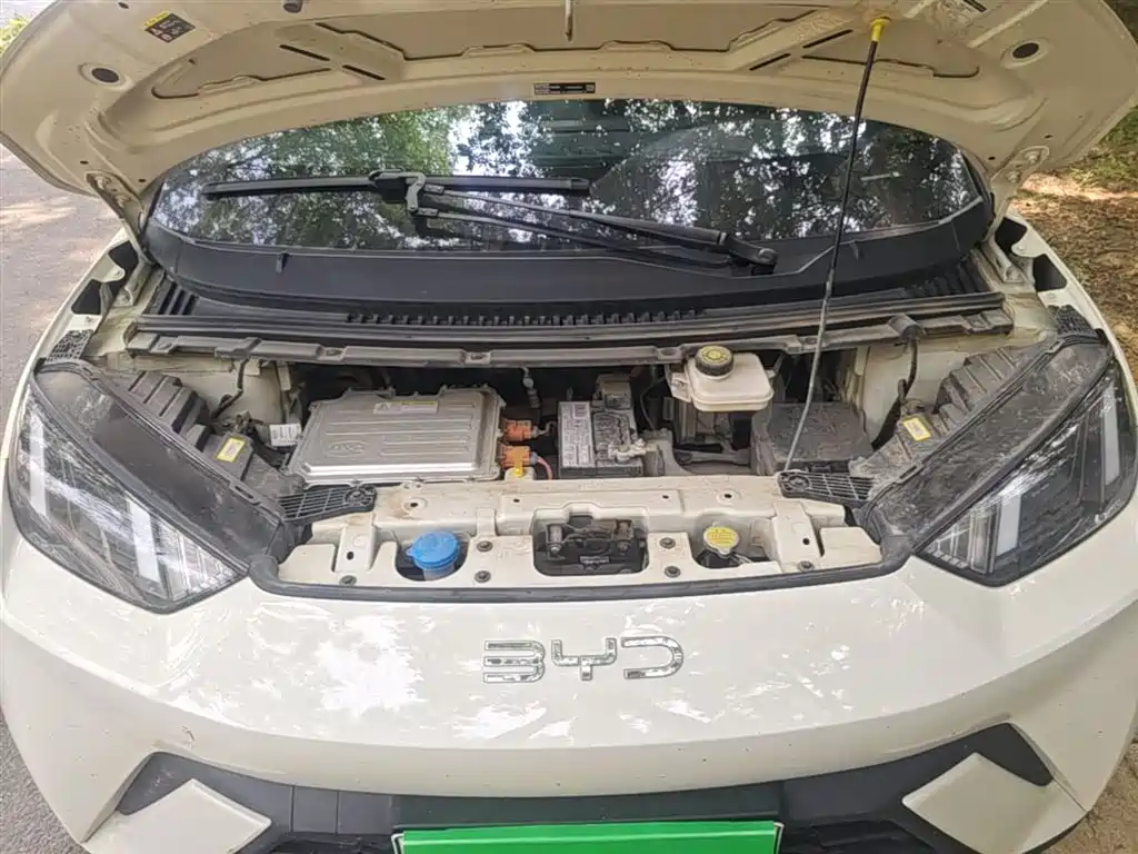 BYD Seagull 2024 Glory Edition 305km Freedom Edition фото 19