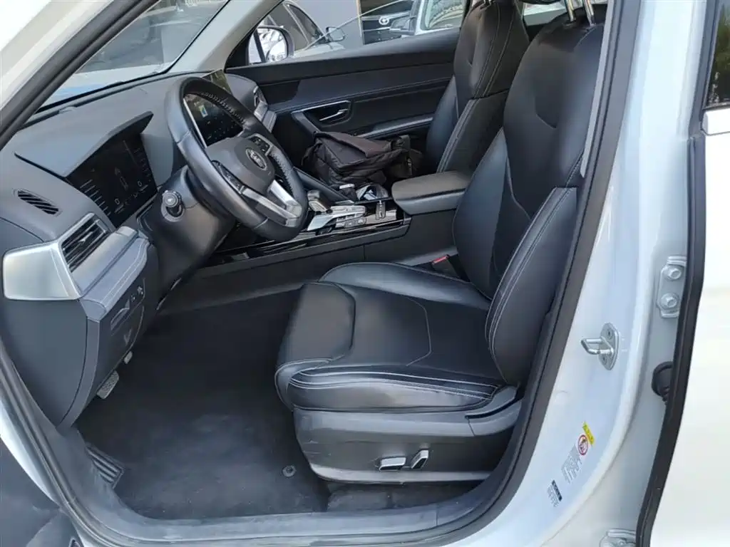 BYD Song Pro New Energy 2019 DM 1.5T 4WD Performance Luxury фото 15