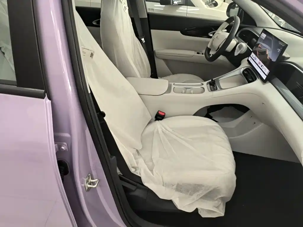 Geely Galaxy Starry Wish 2026 2026 Model 310km Dream Edition
