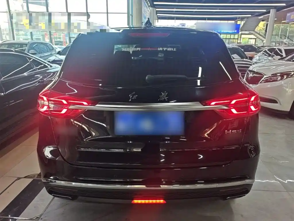 Hongqi HS5 2022 2.0T Smart Connect Premium Edition фото 6