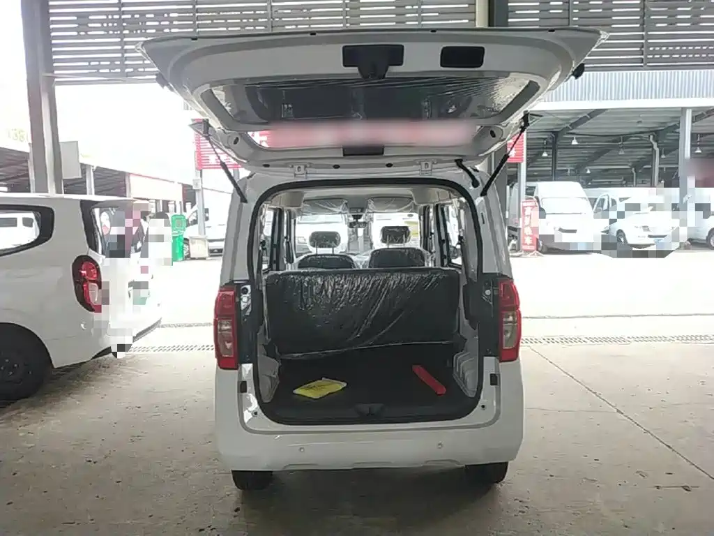Wuling Motors Wuling Zhiguang NEV 2026 2025 Model 305km Base Version