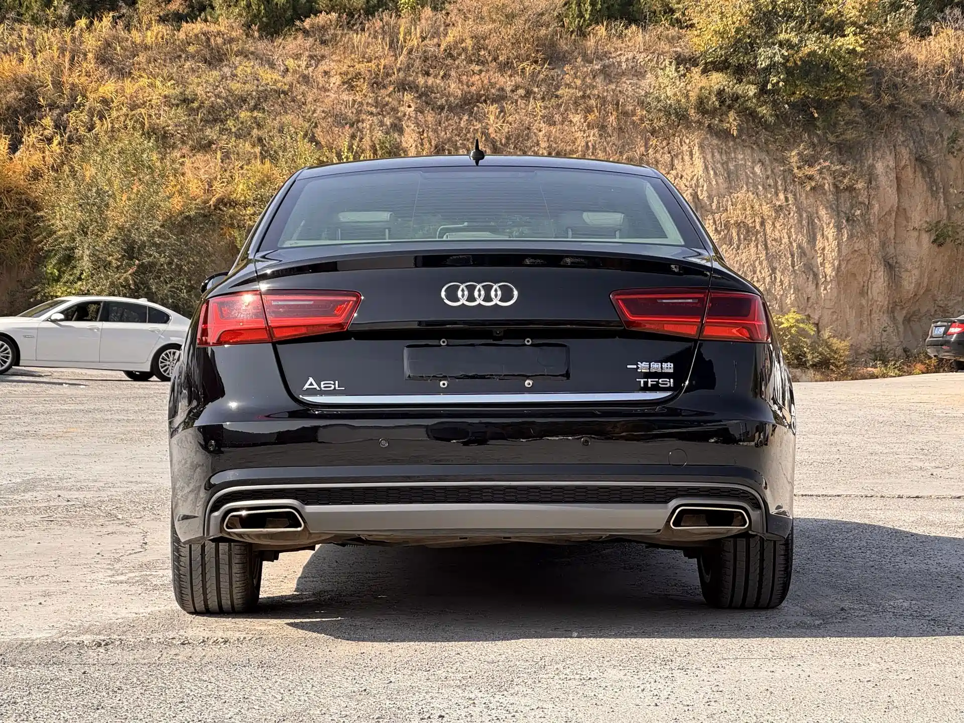 Фото 8 - Audi A6L