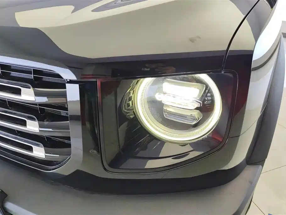 Haval Big Dog 2021 1.5T DCT 2WD Border Collie - Wangcai Edition фото 5