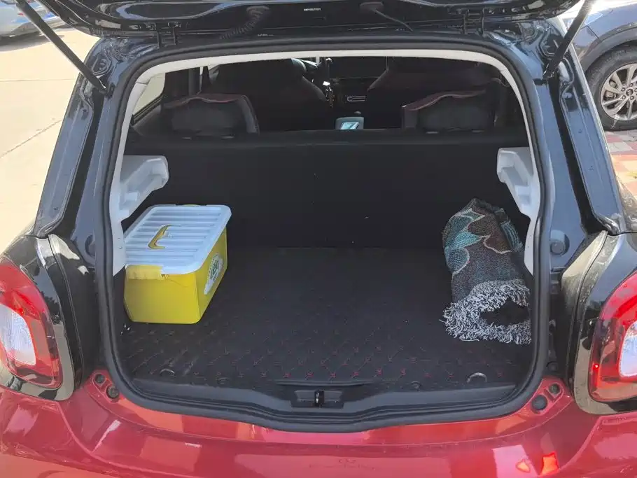 smart forfour 2018 2018 1.0L 52kW Agile Edition