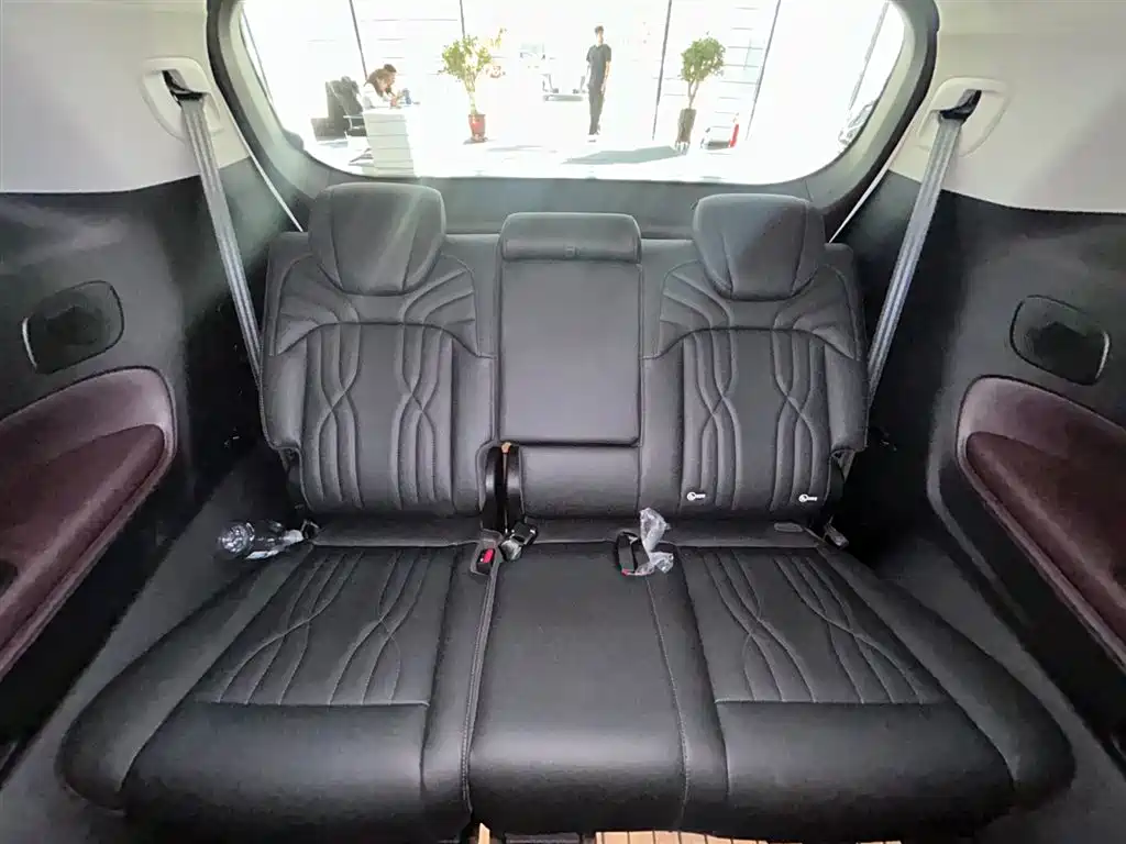 GAC Trumpchi Trumpchi M8 2024 Master Series Super Hybrid фото 15