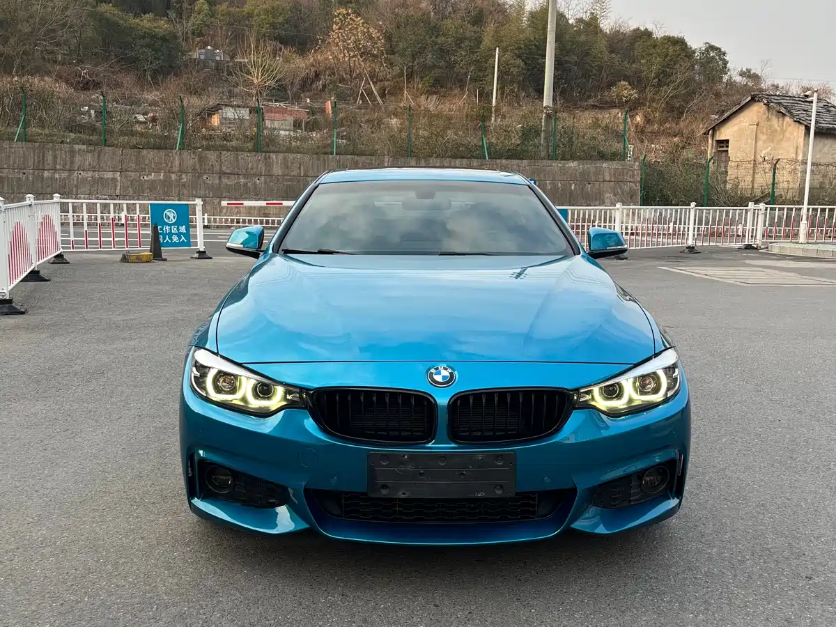 BMW 4 Series 2017 425i Gran Coupe Premium M Sport Package фото 9
