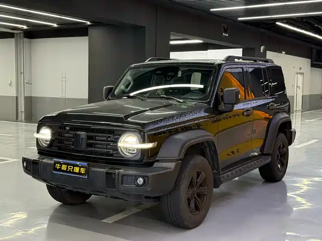 Tank 300 2024