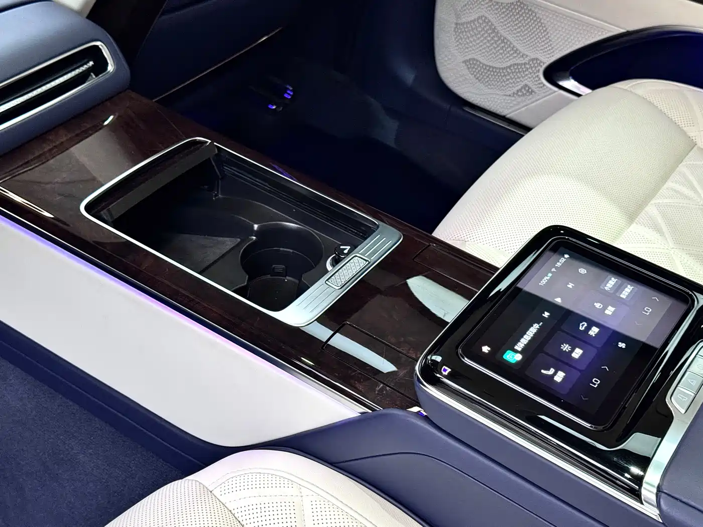 Hongqi Guoya 2024 4.0T V8 Version фото 29
