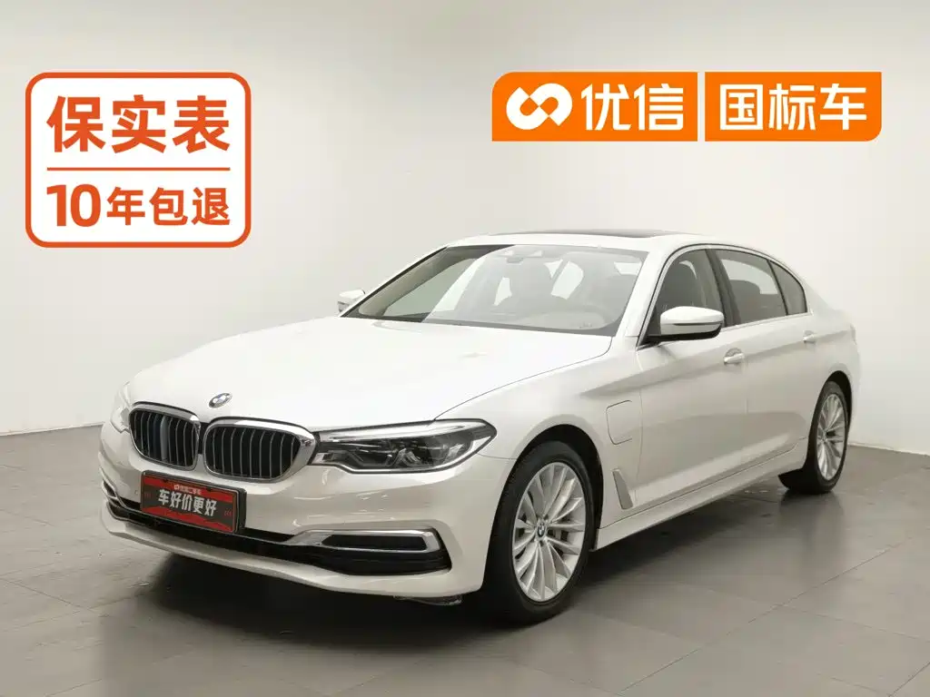BMW 5 Series New Energy 2020