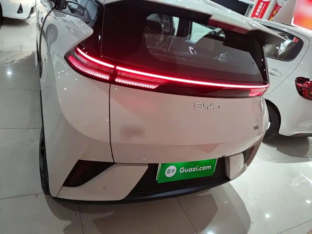 BYD Seagull 2026 2025 305km Vitality