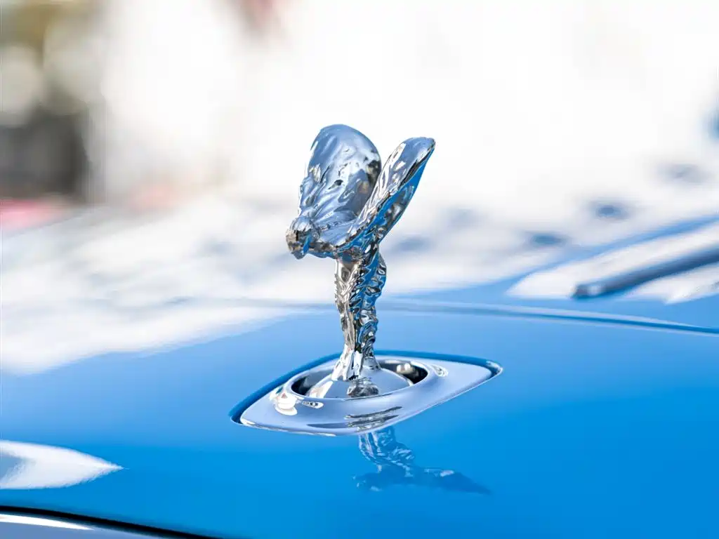 Фото 9 - Rolls-Royce Dawn
