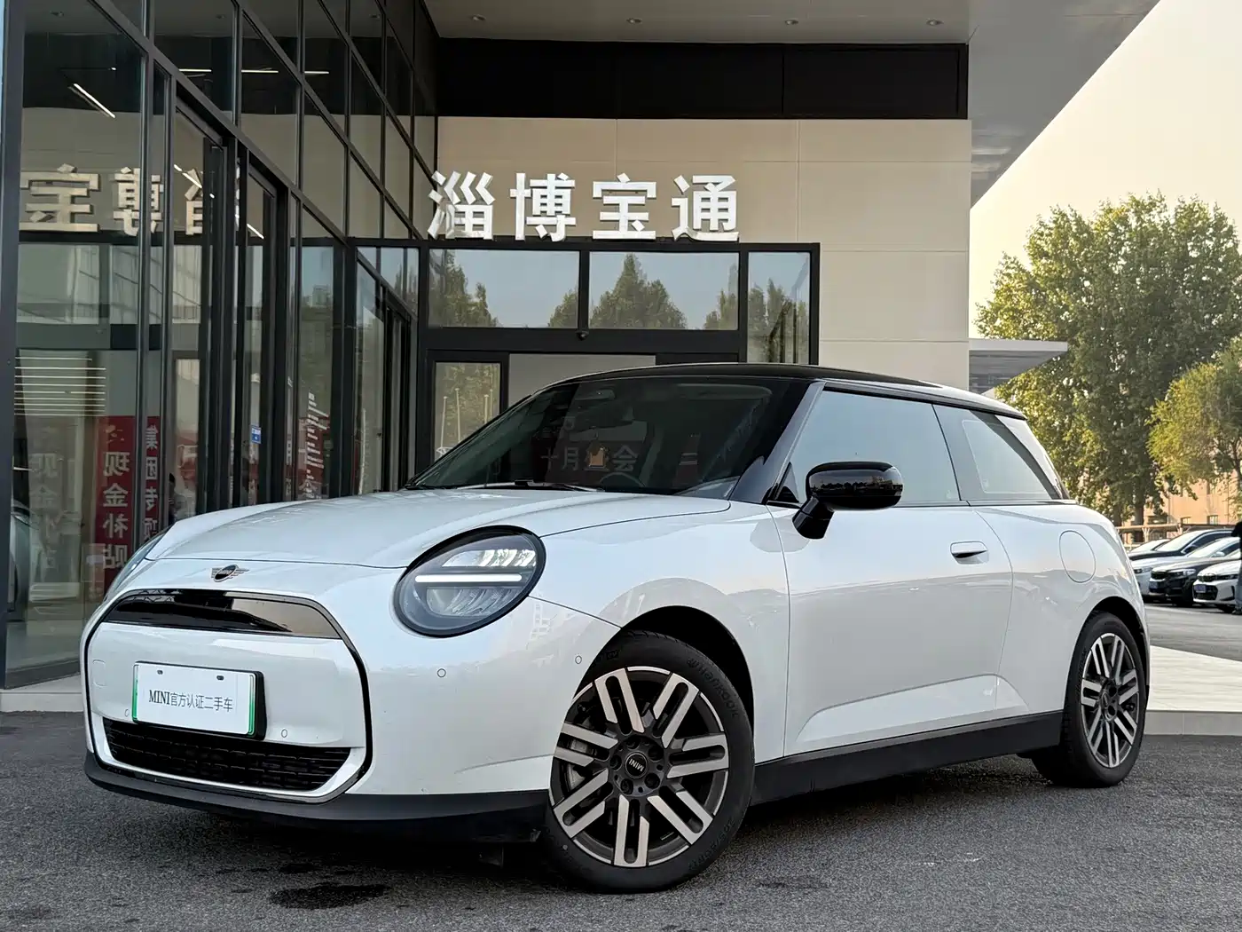 MINI New Energy (Imported) 2025 2024 COOPER E