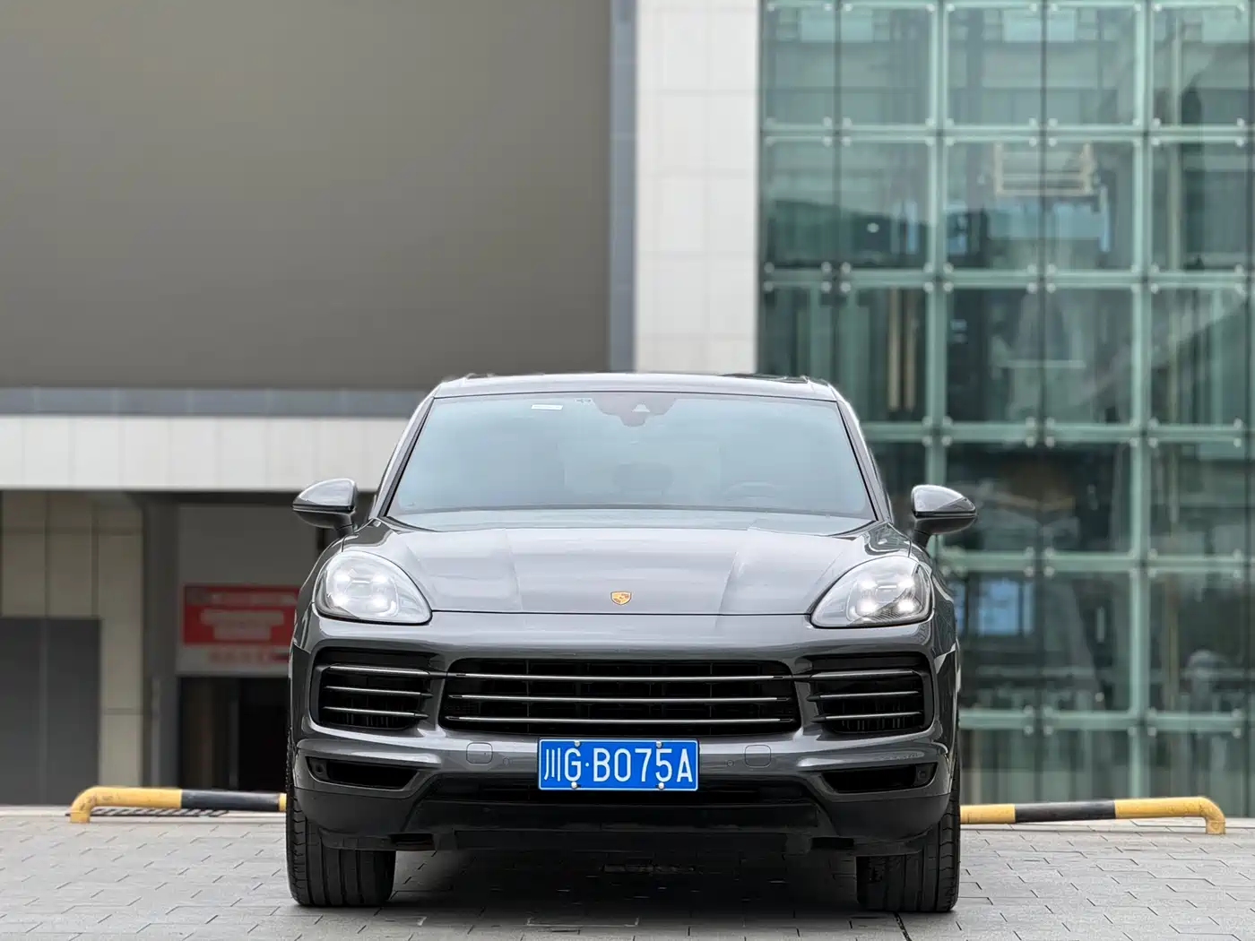 Porsche Cayenne 2022 Cayenne 3.0T Platinum Edition фото 4