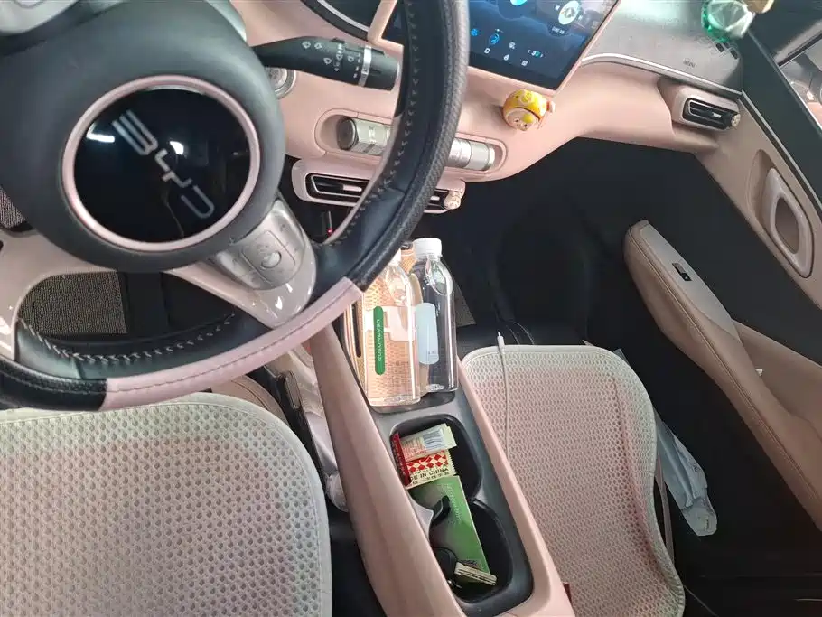 BYD Seagull 2023 Freedom Edition фото 16