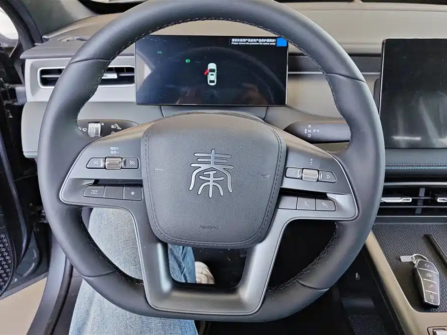 BYD Qin PLUS 2026 DM-i Smart Edition 128KM Progressive фото 14