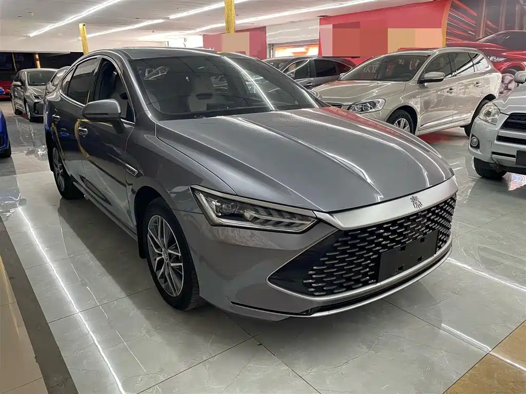 BYD Qin PLUS 2023 Champion Edition DM-i 120KM Leading Type фото 3