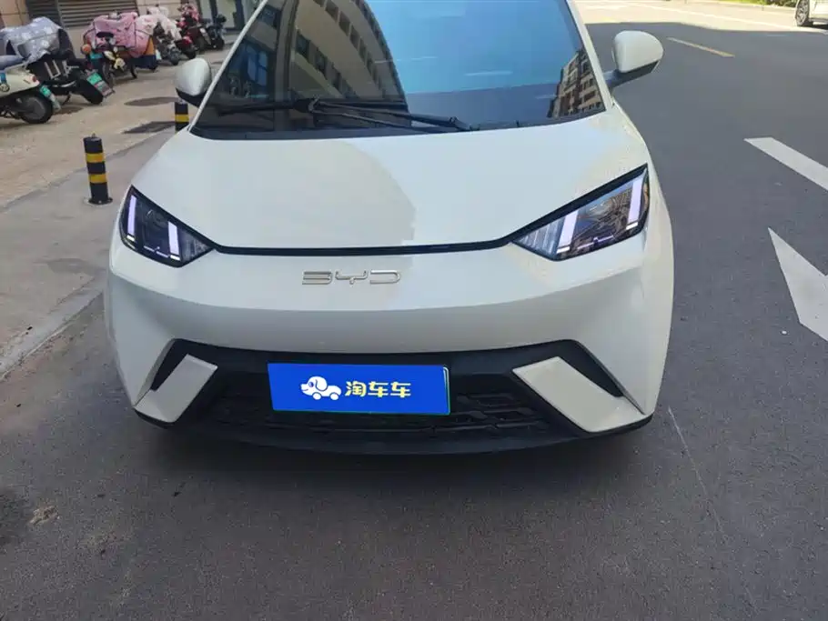 BYD Seagull 2024 Glory Edition 305km Vitality Edition фото 2