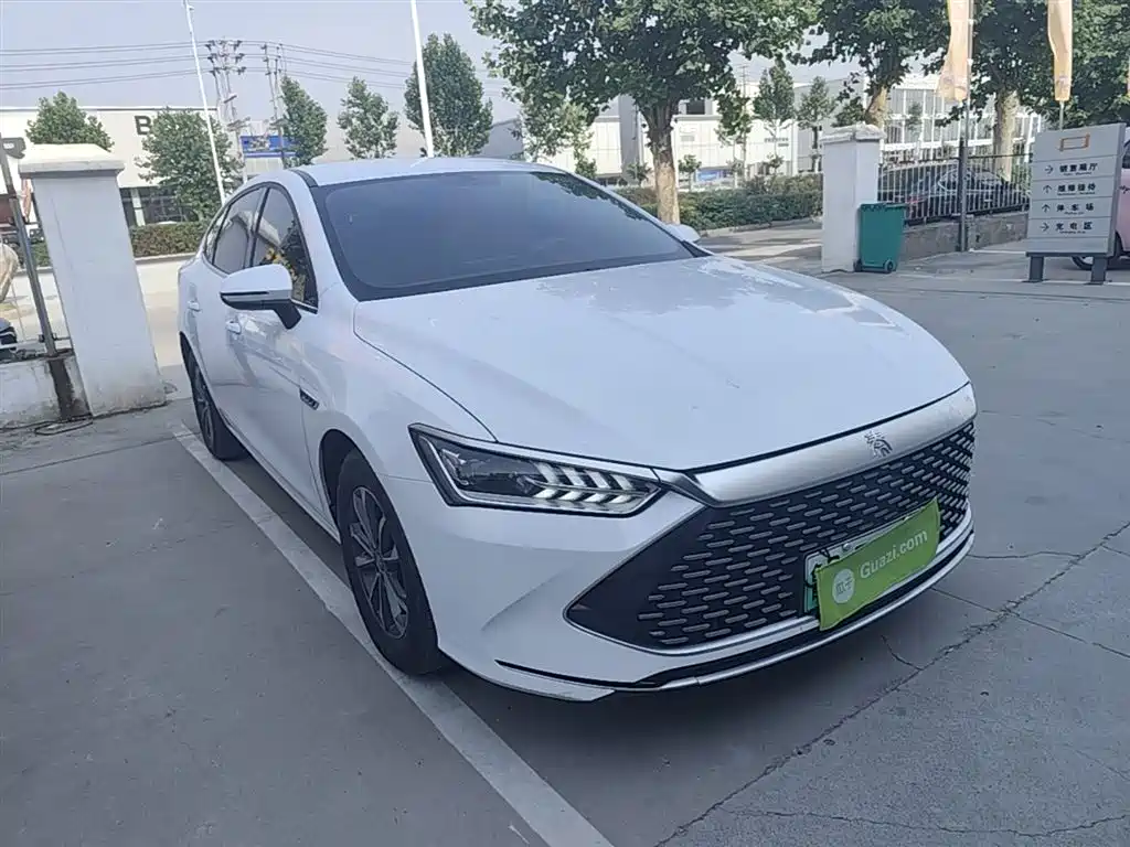 BYD Qin PLUS 2024 Glory Edition DM-i 55KM Leading фото 4