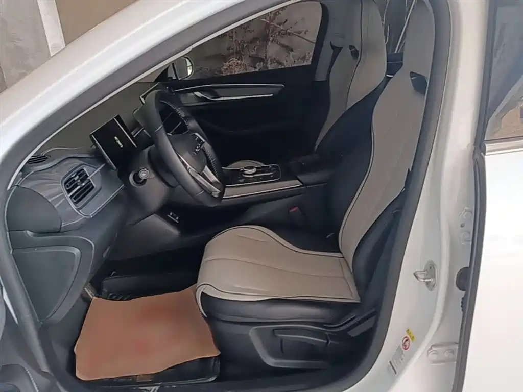 BYD Destroyer 05 2024 Glory Edition DM-i 55KM Luxury фото 15