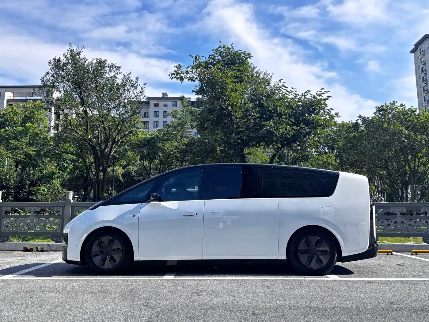 Li Auto MEGA 2025 2025 Model Home Family Special Edition