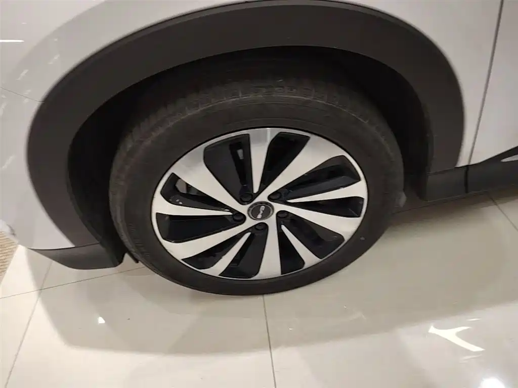 BYD Song PLUS PHEV 2023 Champion Edition DM-i 110KM Flagship PLUS фото 23