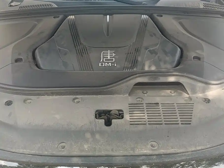 BYD Tang New Energy 2025 Smart Driving Edition DM-i 115KM Premium фото 9