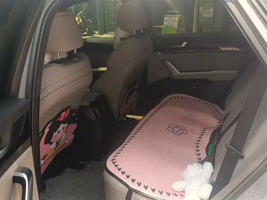 BYD Tang New Energy 2025 Smart Driving Edition DM-i 115KM Premium фото 10