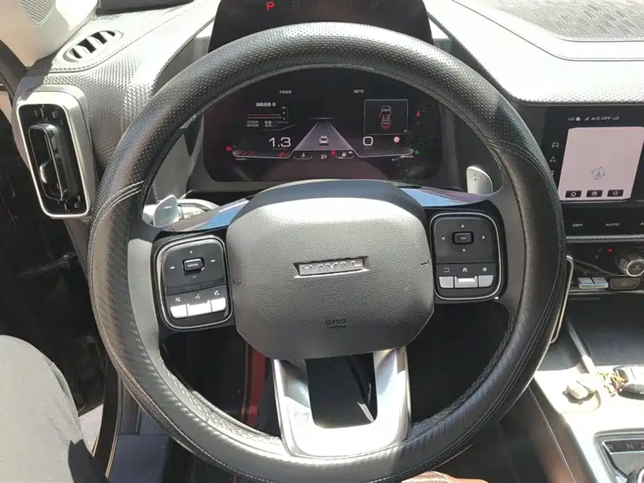 Haval Big Dog 2024 1.5T DCT Border Collie Edition фото 15