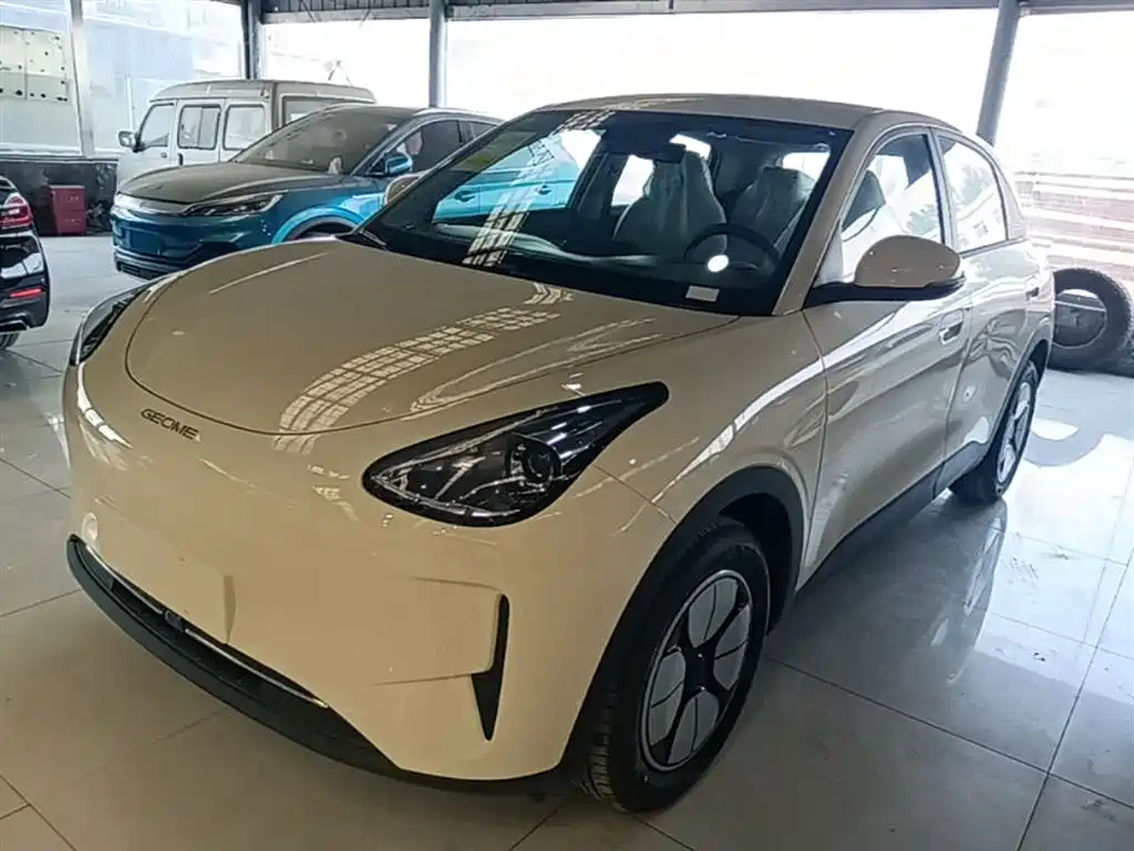 Geely Galaxy Starry Wish 2026 Edition 310km Youth Version