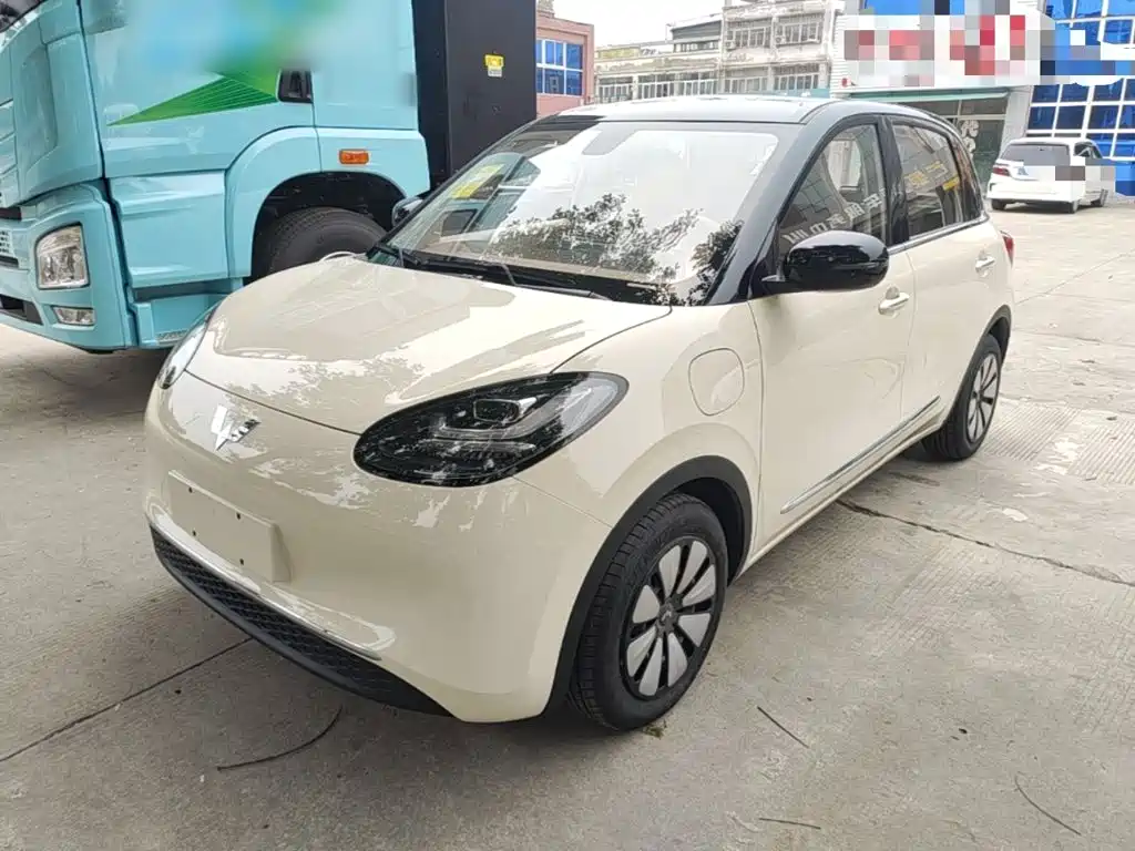 Wuling Motors Wuling Bingo 2026 2025 Model 333km Joy Edition