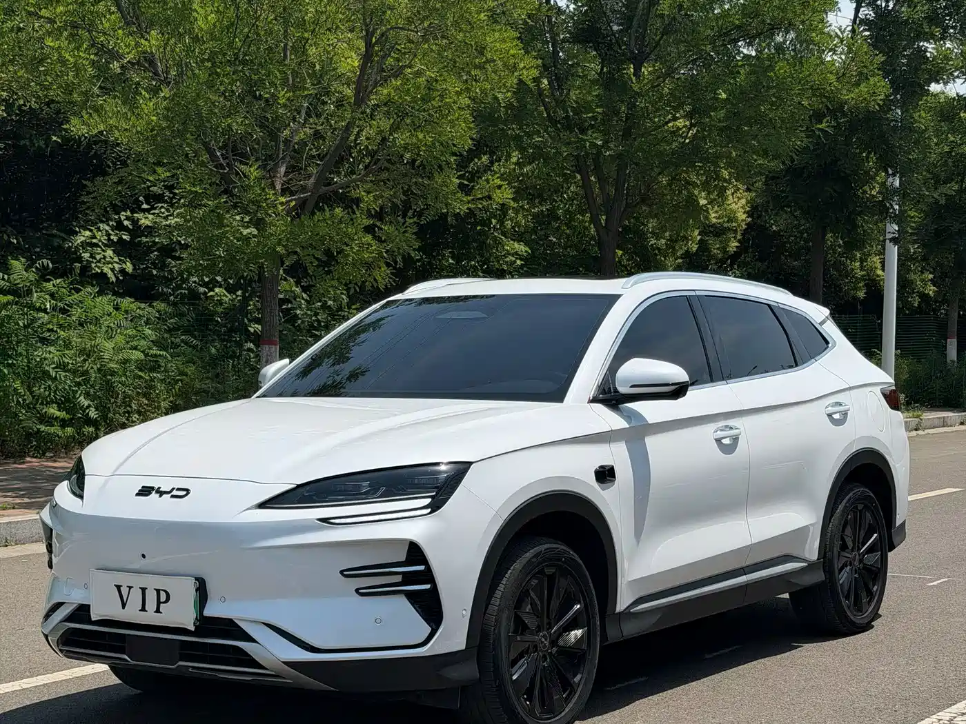 BYD Song PLUS PHEV 2025 EV Smart Driving Edition 520km Premium