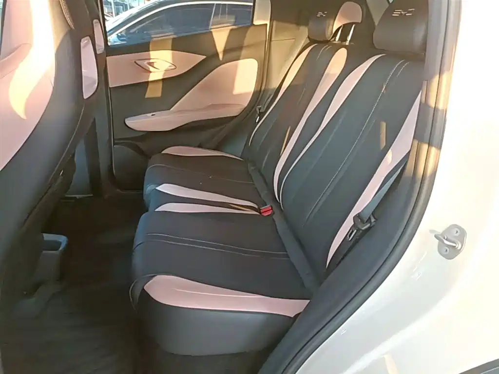BYD Seagull 2023 Vitality Edition фото 13