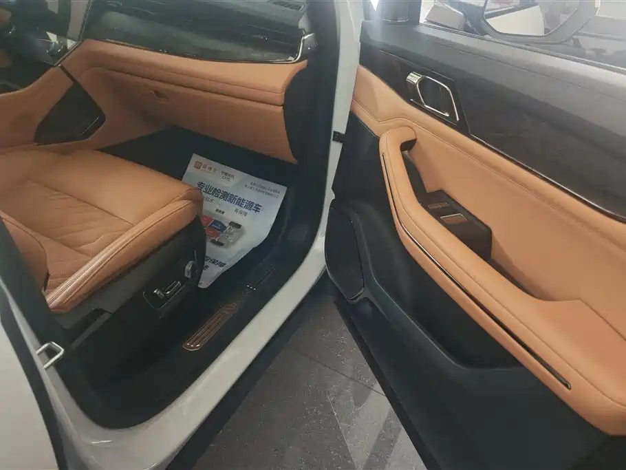 Lynk & Co 09 EM-P 2021 2.0T PHEV Halo 7-Seater фото 8