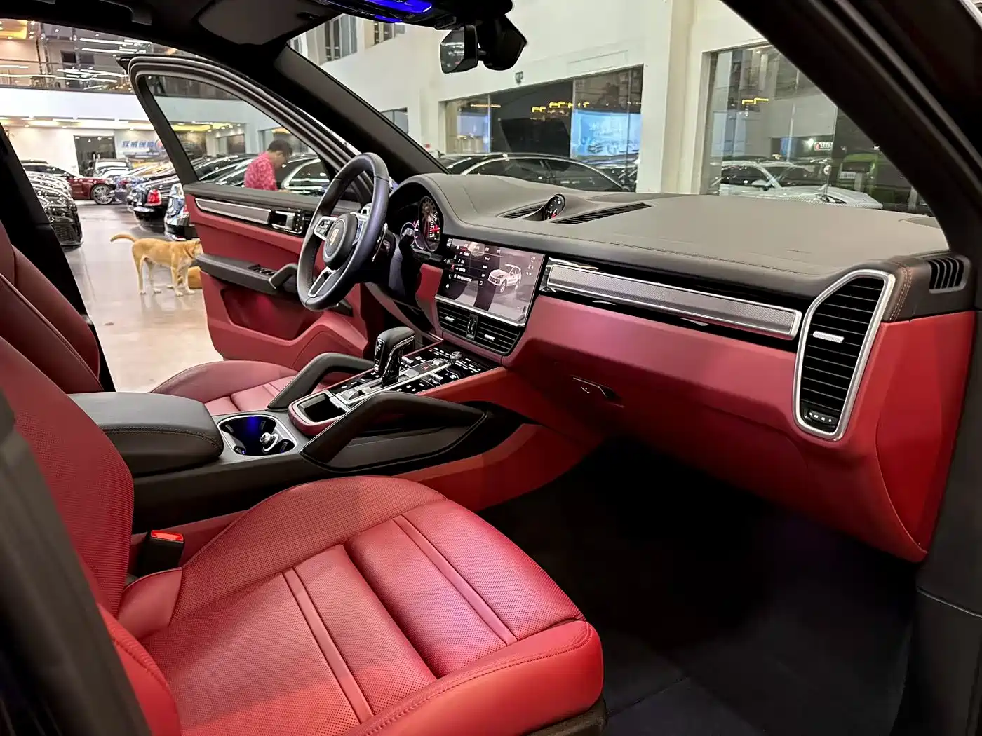 Porsche Cayenne 2023 Cayenne 3.0T Platinum Edition фото 6