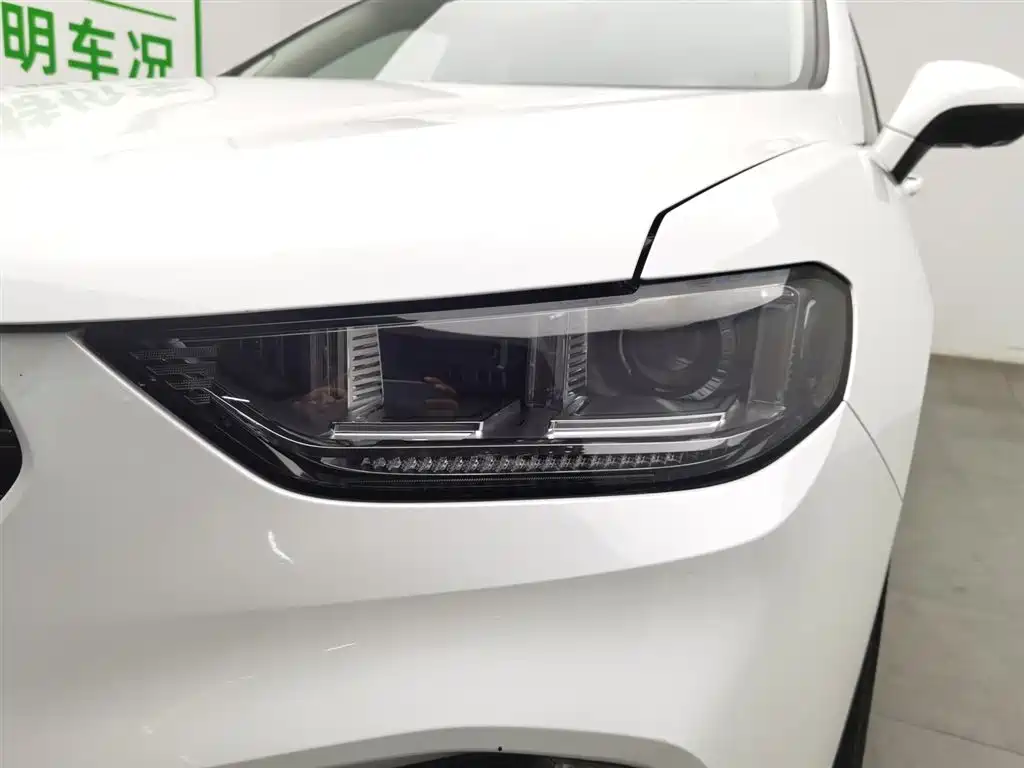 WEI PAI WEI BRAND VV5