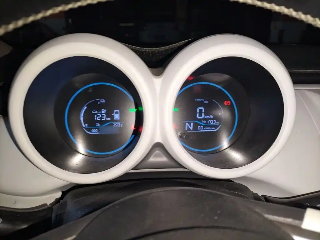 Ora Black Cat 2022 2022 Facelift 301km Pet Edition LFP Version