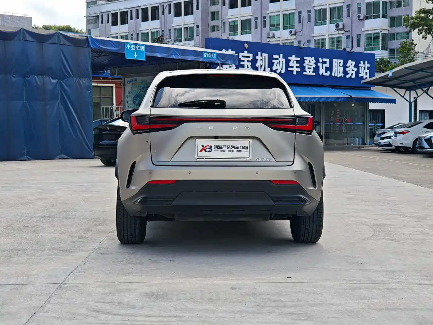 Lexus NX 2024 2023 260 FWD Dynamic Edition