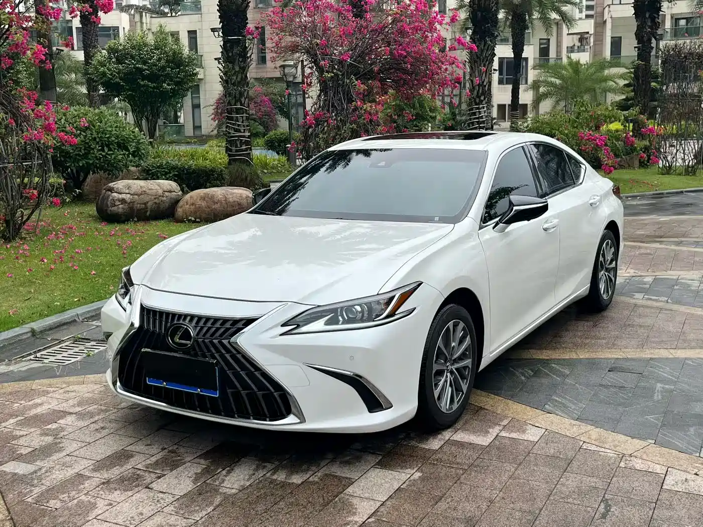 Lexus ES 2024 200 Premium Edition