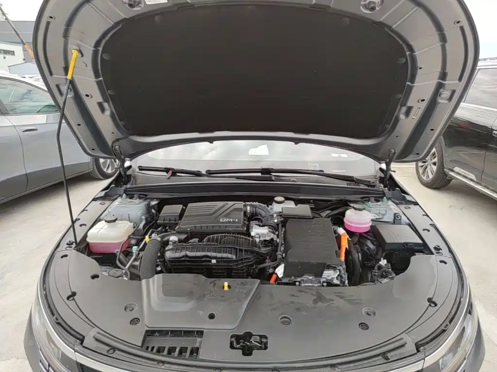 BYD Destroyer 05 2024 2024 Glory Edition DM-i 120KM Luxury