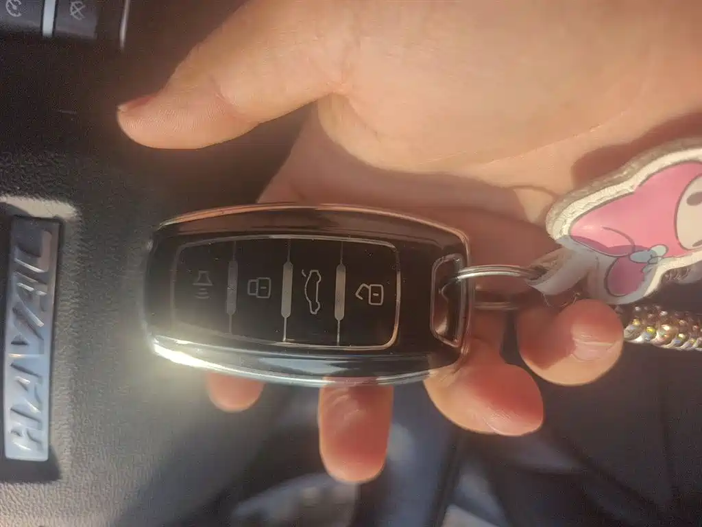 Haval F7x 2019 2.0T FWD Ultimate Tech Edition фото 12