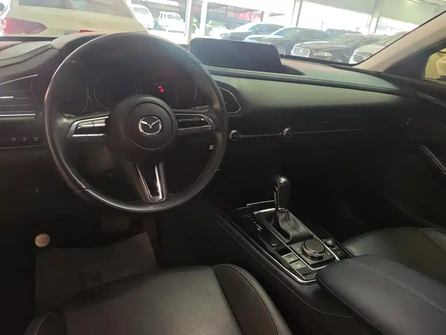 Mazda CX-30 2022 2021 2.0L Auto Elegant Joy Type