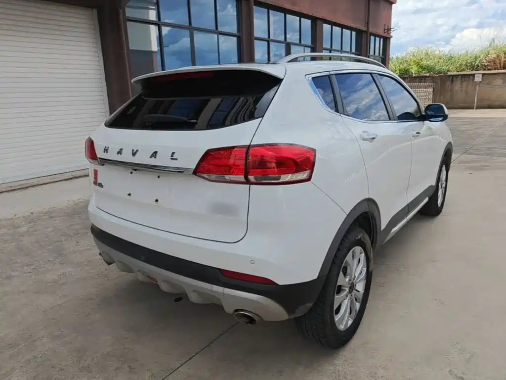 صورة 7 - Haval H2s