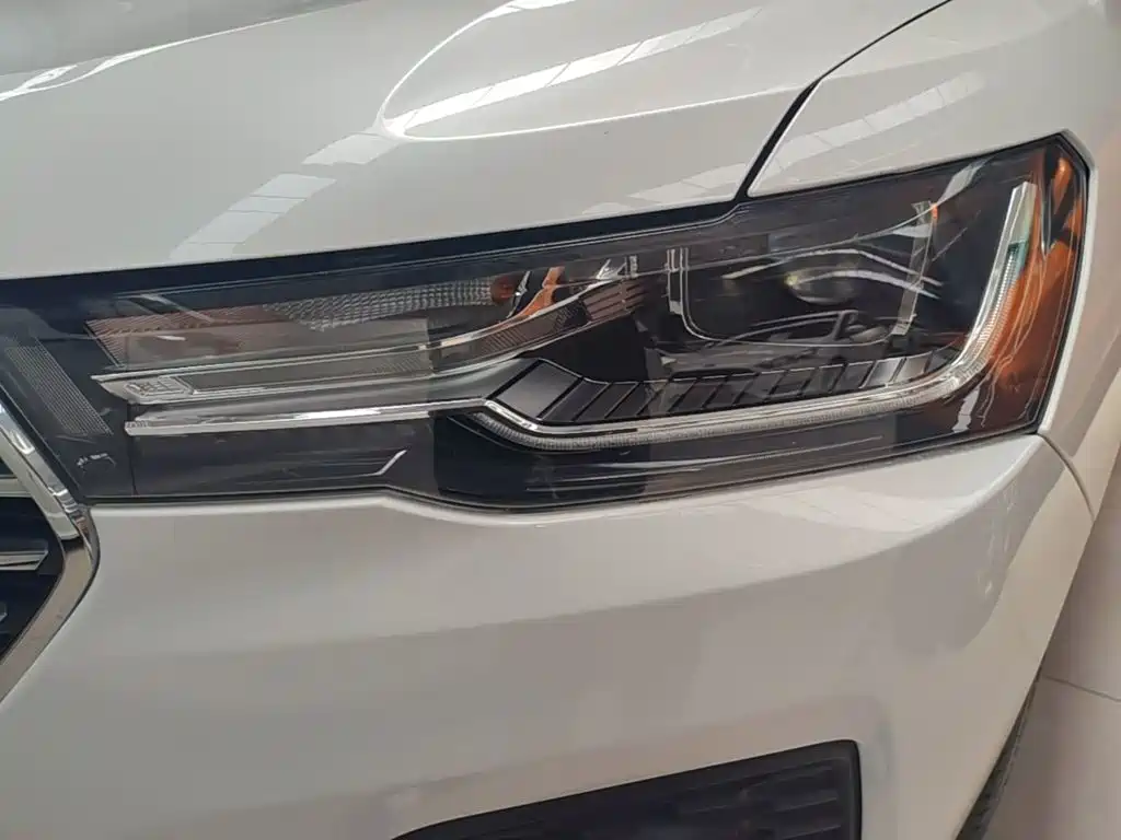 Haval H4 2019 2019 1.5GDIT DCT Luxury Smart Connection China VI