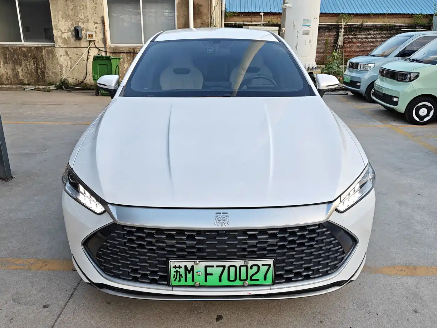 BYD Qin PLUS 2024 Glory Edition DM-i 55KM Leading фото 2